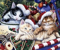 Meowy Christmas 2 Fine Art Print