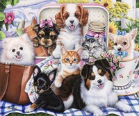 Fun Size Fine Art Print