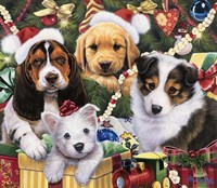 Puppy Surprise Fine Art Print