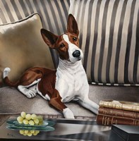 Gizmo Fine Art Print