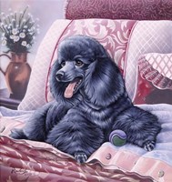 Black Poodle Fine Art Print