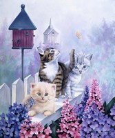 Cats In Front Of The Birdfeeder Fine Art Print