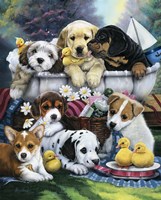 Bath Time Pups Fine Art Print