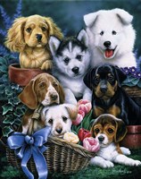 Puppies Fine Art Print