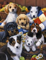 Country Bumpkin Puppies Fine Art Print