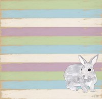 Rabbit Grey Framed Print