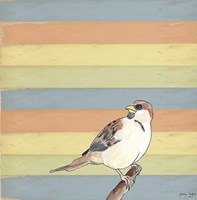 Little Brown Bird Framed Print