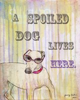 Spoiled Dog Fine Art Print