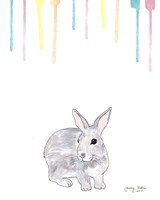 Sign Of Spring Fine Art Print