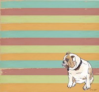 Bulldog Fine Art Print