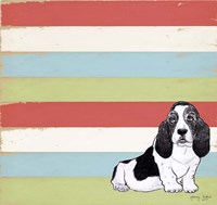 Basset Hound 3 Fine Art Print