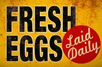 Fresh Eggs Fine Art Print