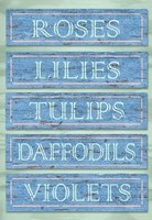 Garden Boards Blue Fine Art Print