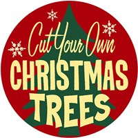 Christmas Trees Fine Art Print