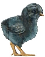 Chick Black wood Fine Art Print