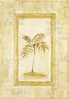 Palm 1 Fine Art Print