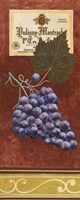 Grapes 1 Fine Art Print