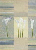 Calla Lily Dance II Fine Art Print