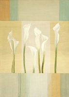 Calla Lily Dance I Fine Art Print