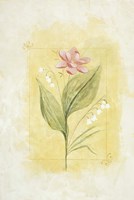 Pink Bloom 2 Fine Art Print