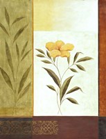 Orange Bloom 1 Fine Art Print