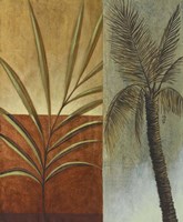 Palm Leaves II Fine Art Print