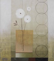 Circles II Fine Art Print