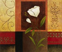 Pretty all in White II Fine Art Print