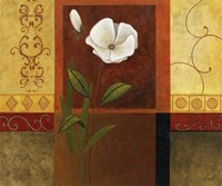 Pretty all in White I Fine Art Print