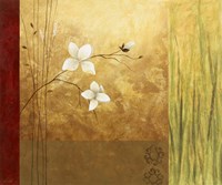 Grass Abstract I Fine Art Print