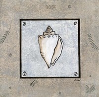Sea Shell on Blue II Fine Art Print