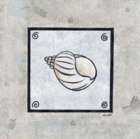 Sea Shell on Blue I Framed Print