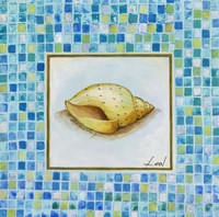 Conch Fine Art Print