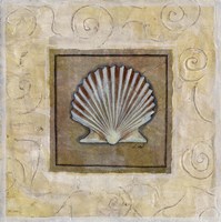 Sea Shell I Fine Art Print