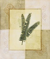 Ferns I Fine Art Print