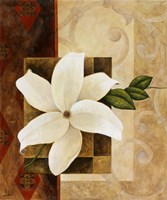 White Delight II Fine Art Print