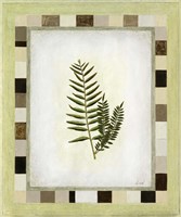 Fern I Fine Art Print