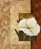 White Delight I Fine Art Print