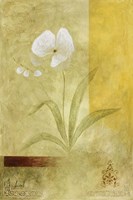 Citrus Delight I Fine Art Print