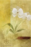 Citrus Delight II Fine Art Print