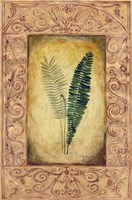 Decorative Ferns II Fine Art Print
