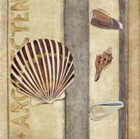 Shell Collage II Fine Art Print