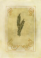 Fern Delight II Fine Art Print