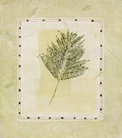 Green Splendor I Fine Art Print