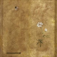 Delicate Fine Art Print