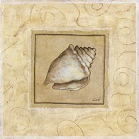 Conch Shell Fine Art Print