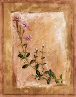 Botanical I Framed Print