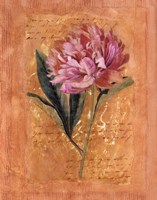 Botanical III Framed Print