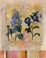 Floral Postcard II Fine Art Print