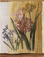 Floral Postcard I Fine Art Print